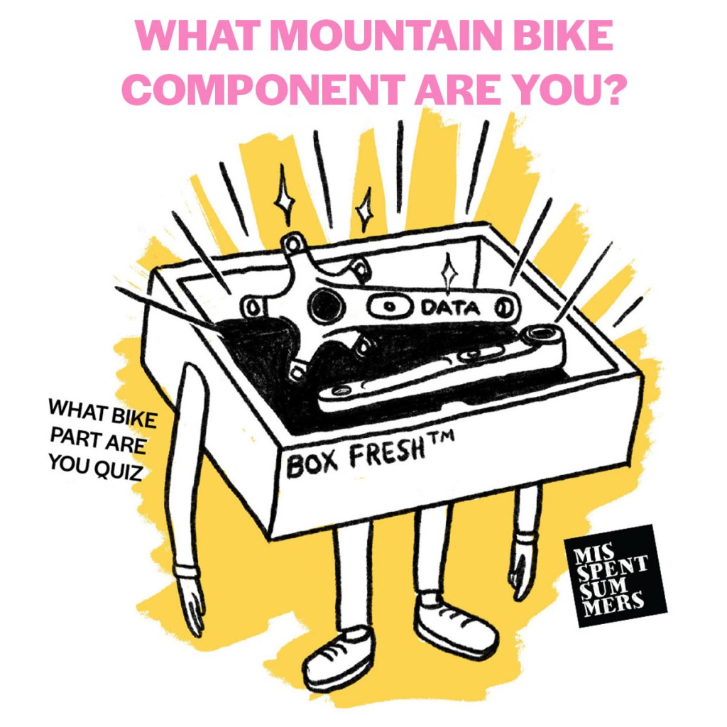 Mountain Bike Personality Component Quiz