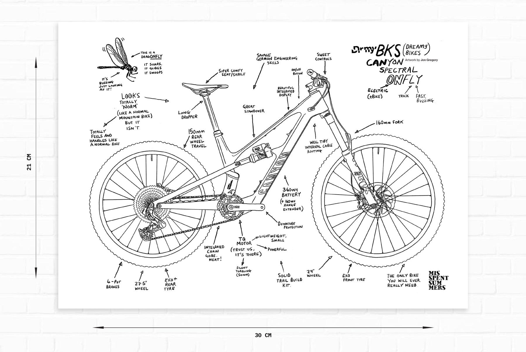 Analog-dreamy-bikes-canyon-spectral-onfly