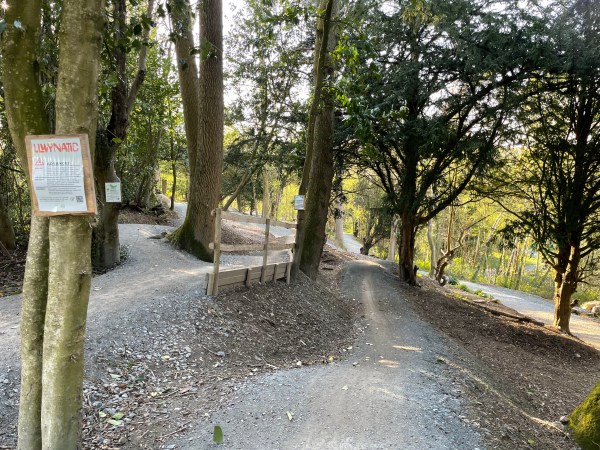 Coed y Cain bike park, Llanfyllin