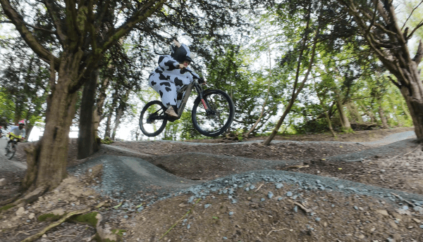 A rider dressed up as a cow rides down Coed y Cain trails, Llanfyllin