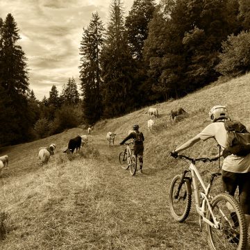 story-of-mountain-biking